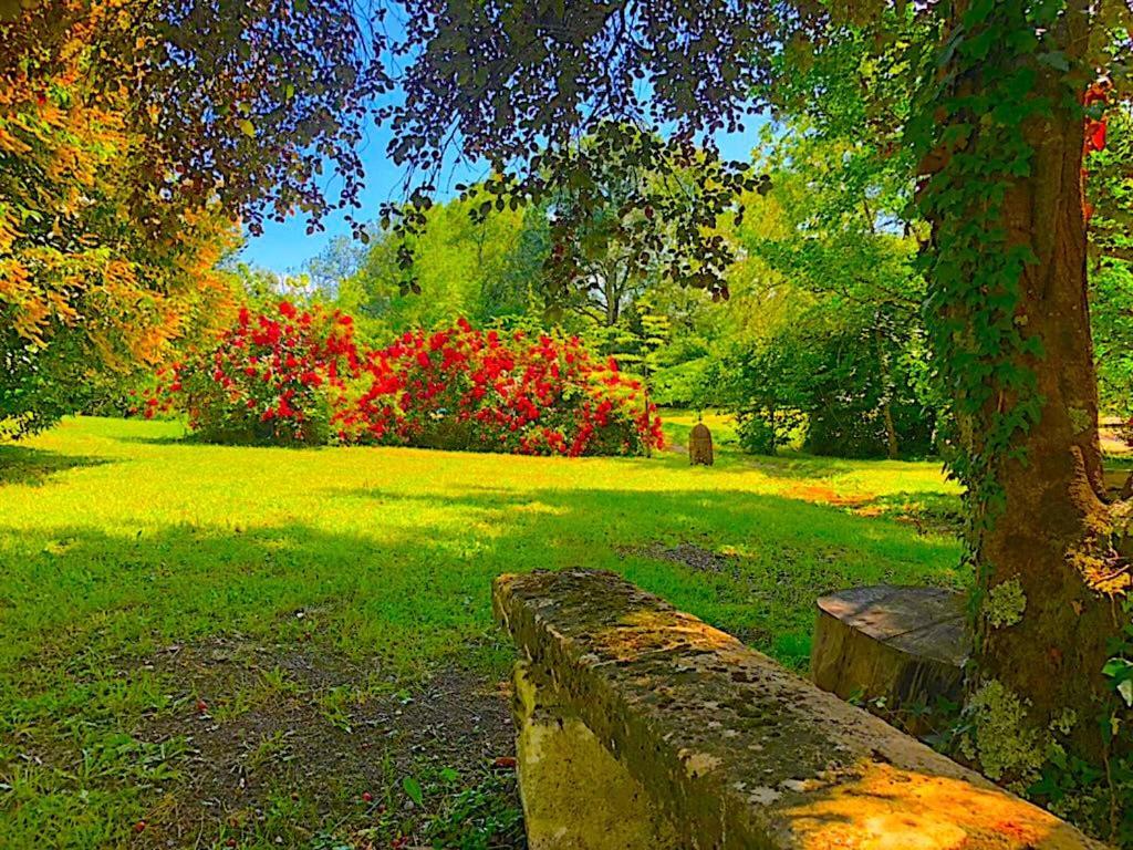 Fabuleux - Domaine Du Moulin D'Andraut Bordeaux-Chevaux-Golf-St Emilion Villa Montussan Exterior photo
