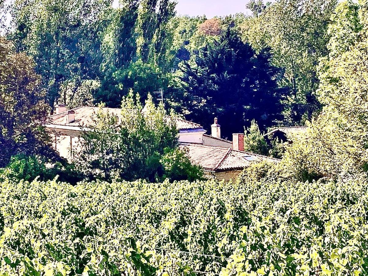 Fabuleux - Domaine Du Moulin D'Andraut Bordeaux-Chevaux-Golf-St Emilion Villa Montussan Exterior photo